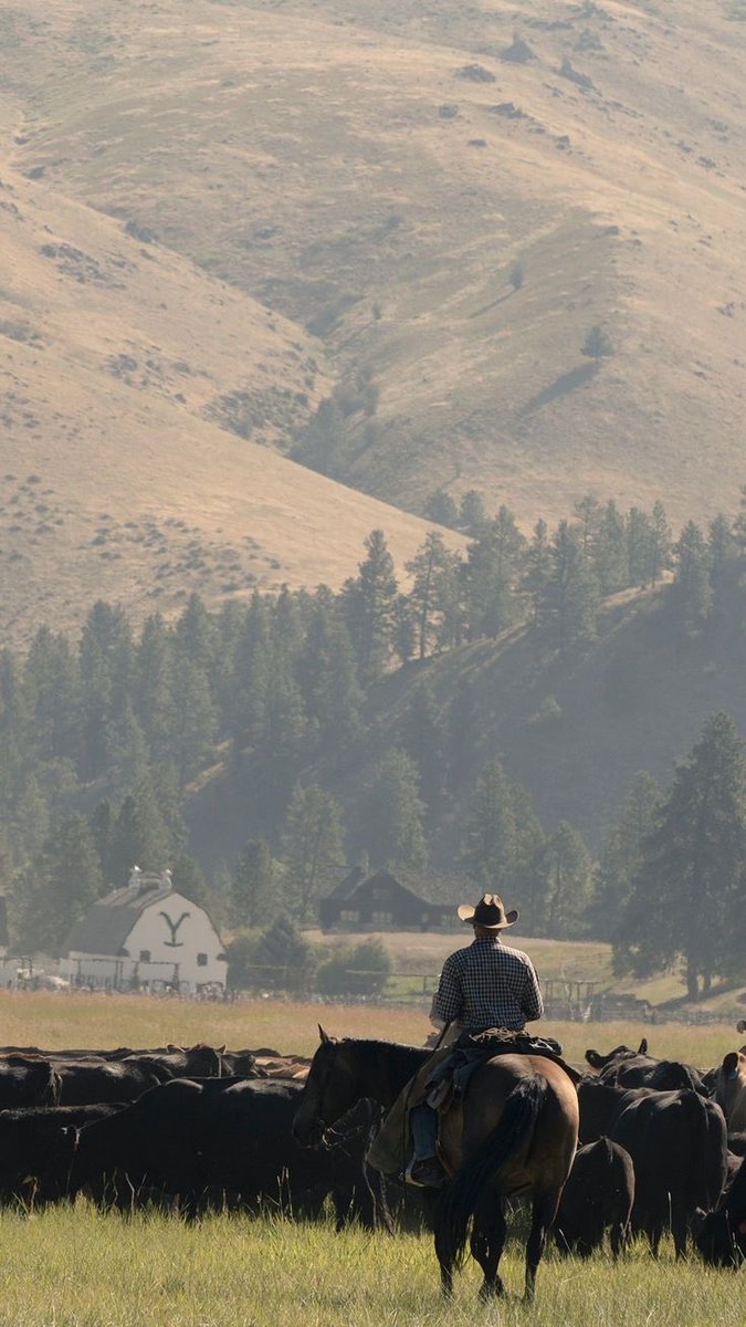 99Ibg's tweet photo. Iba a escribir que Yellowstone era de las mejores series que había visto con uno de los peores finales de la historia de la televisión, pero algunos detalles de los últimos episodios me han hecho perdonar la puta mierda de final que se proponían hacer https://t.co/vqTSBUCBjD