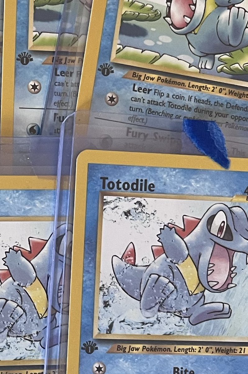 Totodile King tweet media