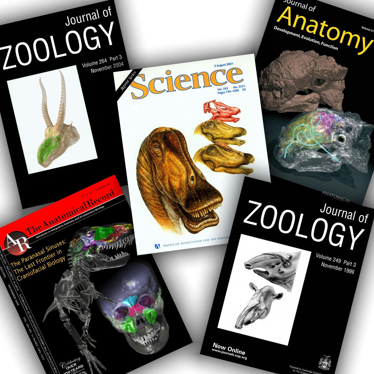 WitmerLab tweet media