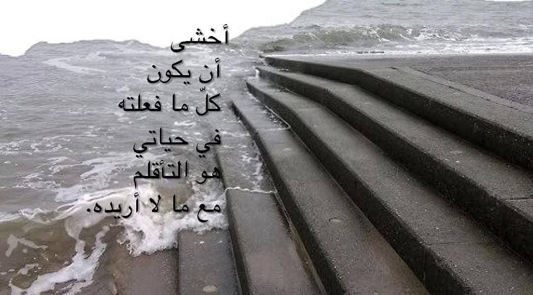 Mostafa2sscc's tweet photo. https://t.co/1VMVcGeIZ1