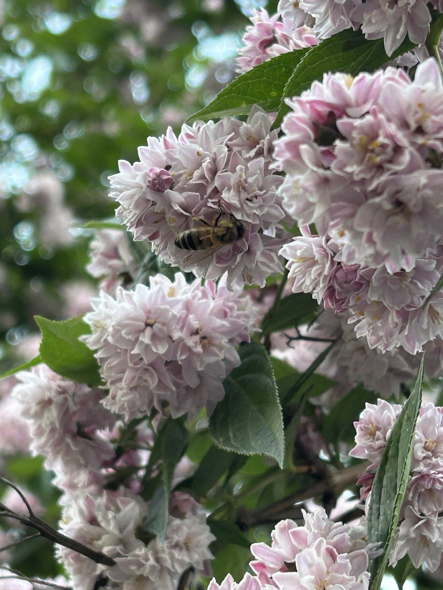 adaskoooo😭😭😭😭 tweet media