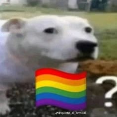 Marco Jiménez tweet media