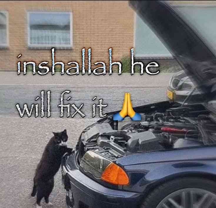 brainrotpostig's tweet image. 