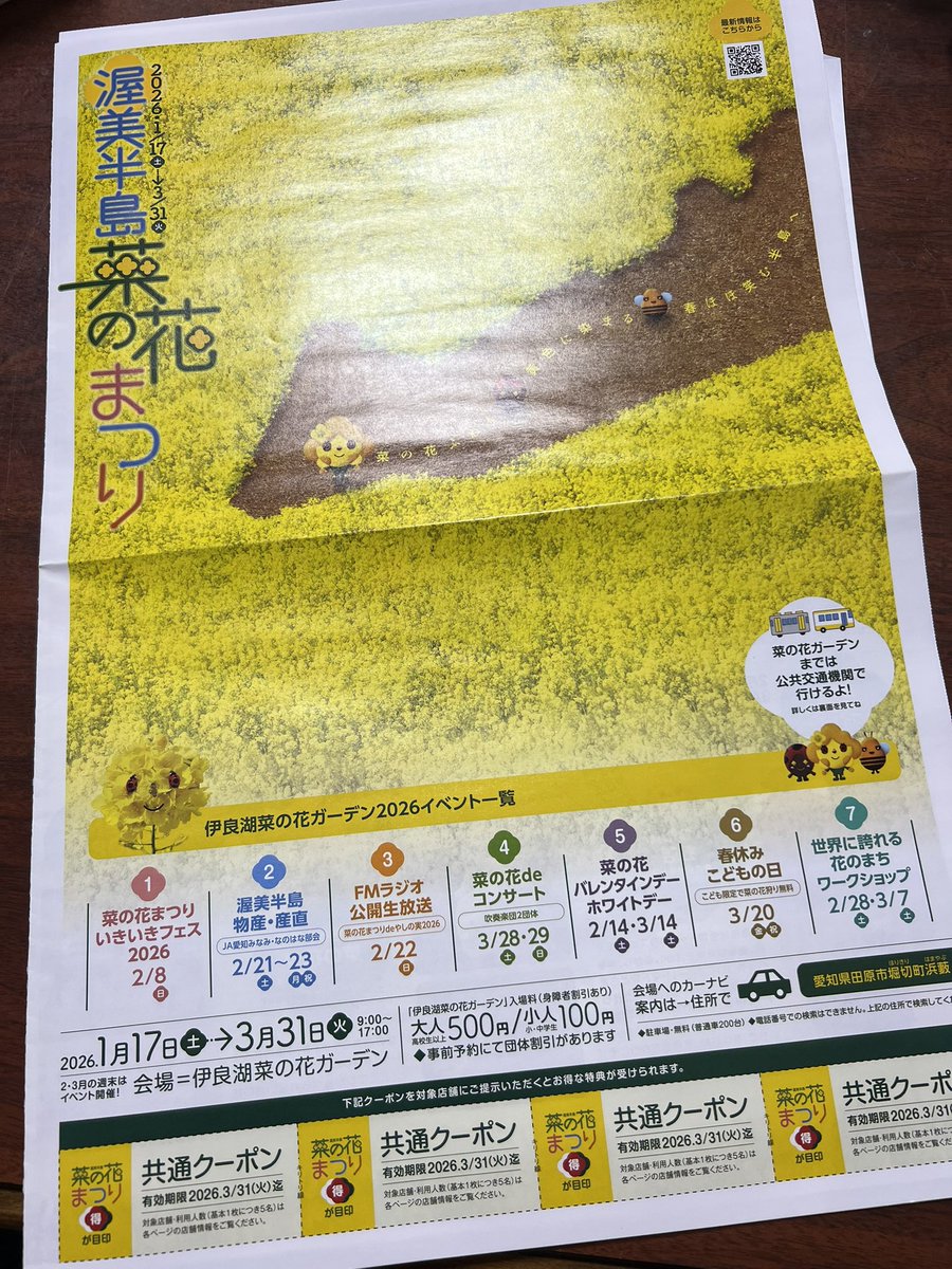 菜花様 童仙房ナーセリー＆ガーデンのハイドランジア,パニキュラータ,庭の