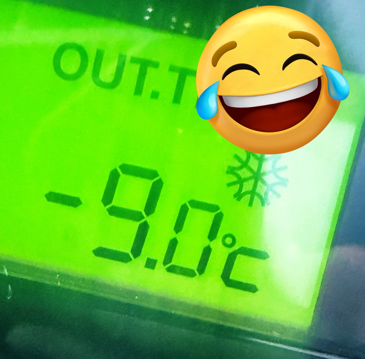 麻ちゃん* tweet media