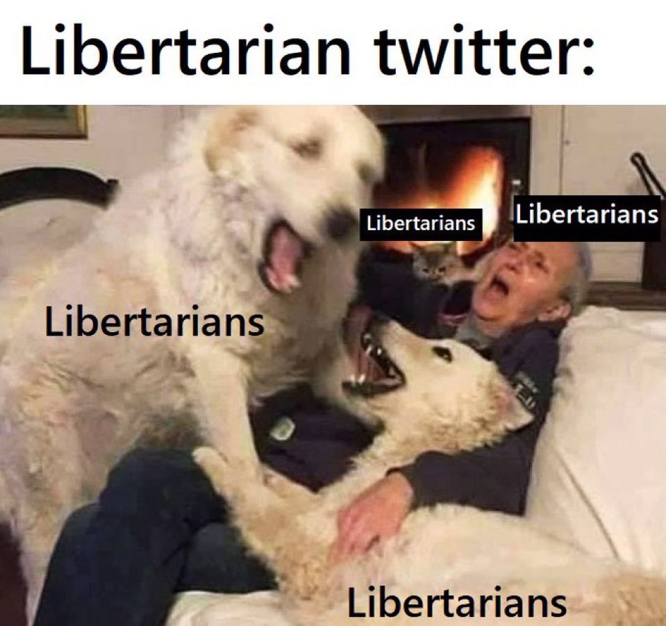 Trent Steele, Liberty Dad tweet media