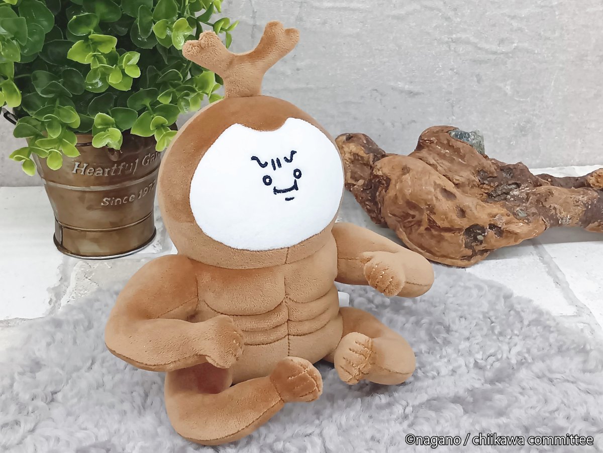 ついにこのあと11時から！／ 新商品たちが いよいよ発売！ 🍴1/9(金)11