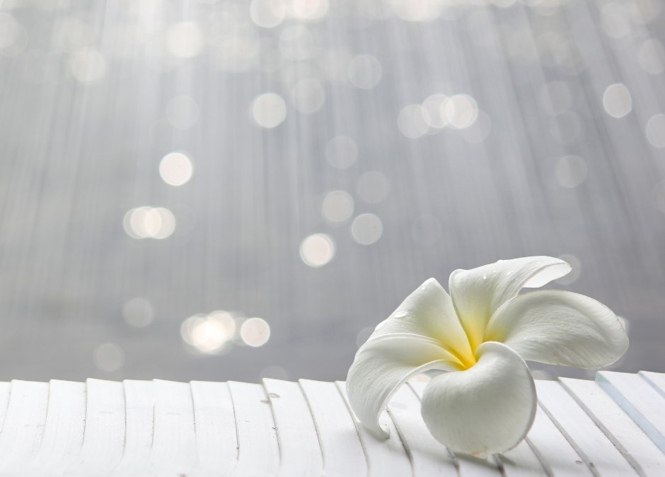 awakeningsigns's tweet image. These mistakes will keep you from light working enlightenment. Read the article and know how...

spiritualawakeningsigns.com/spiritualawake…

#Enlightenment #LightWorker