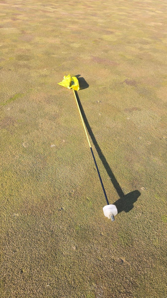 ReteeFor3's tweet image. Got the first round of the year in today! a nice like 50 degree day in janurary to sneak out. freezing but definitely worth getting out there.