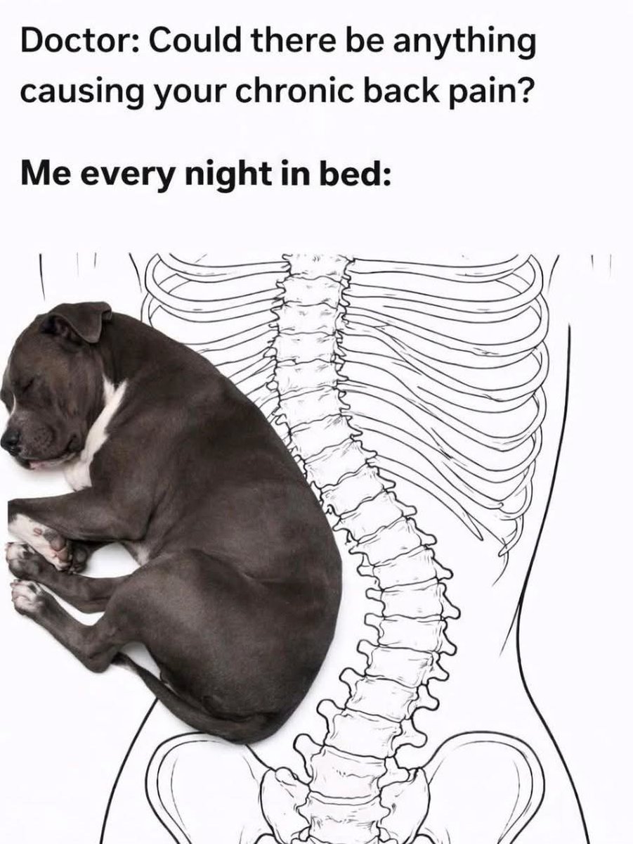 Puppieslover's tweet image. 