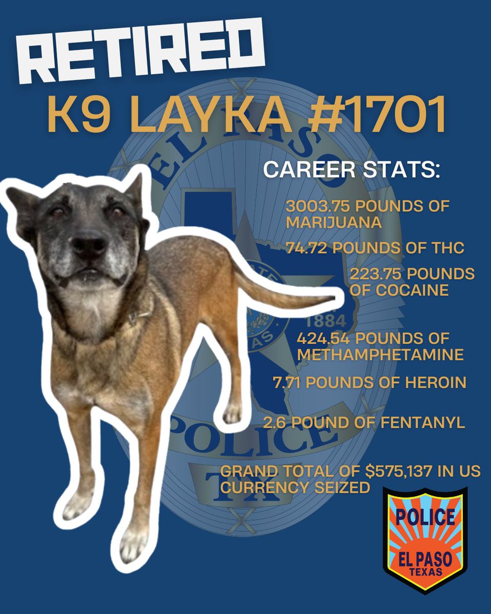 EL PASO POLICE DEPT tweet media