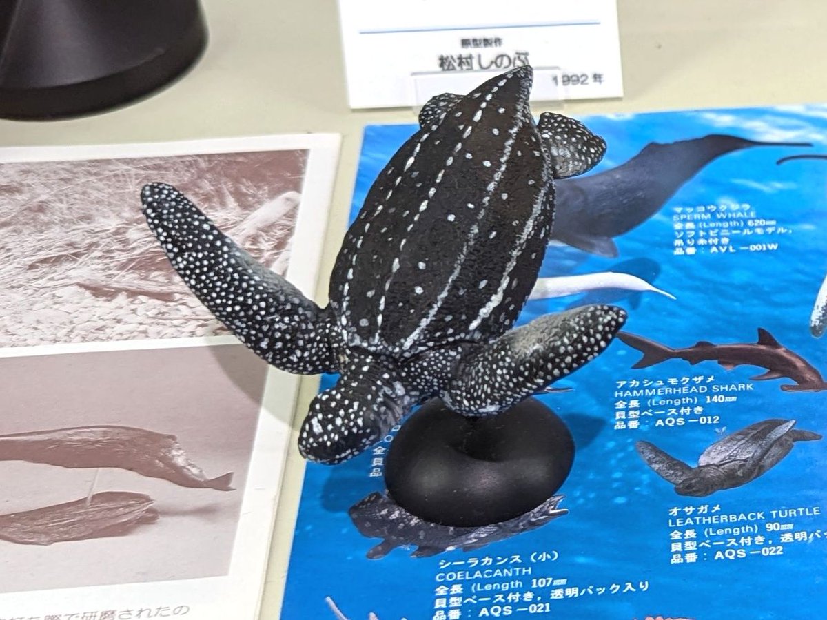 クサガメ 動物完成品 クサガメフィギュア 水辺の風景ジオラマ