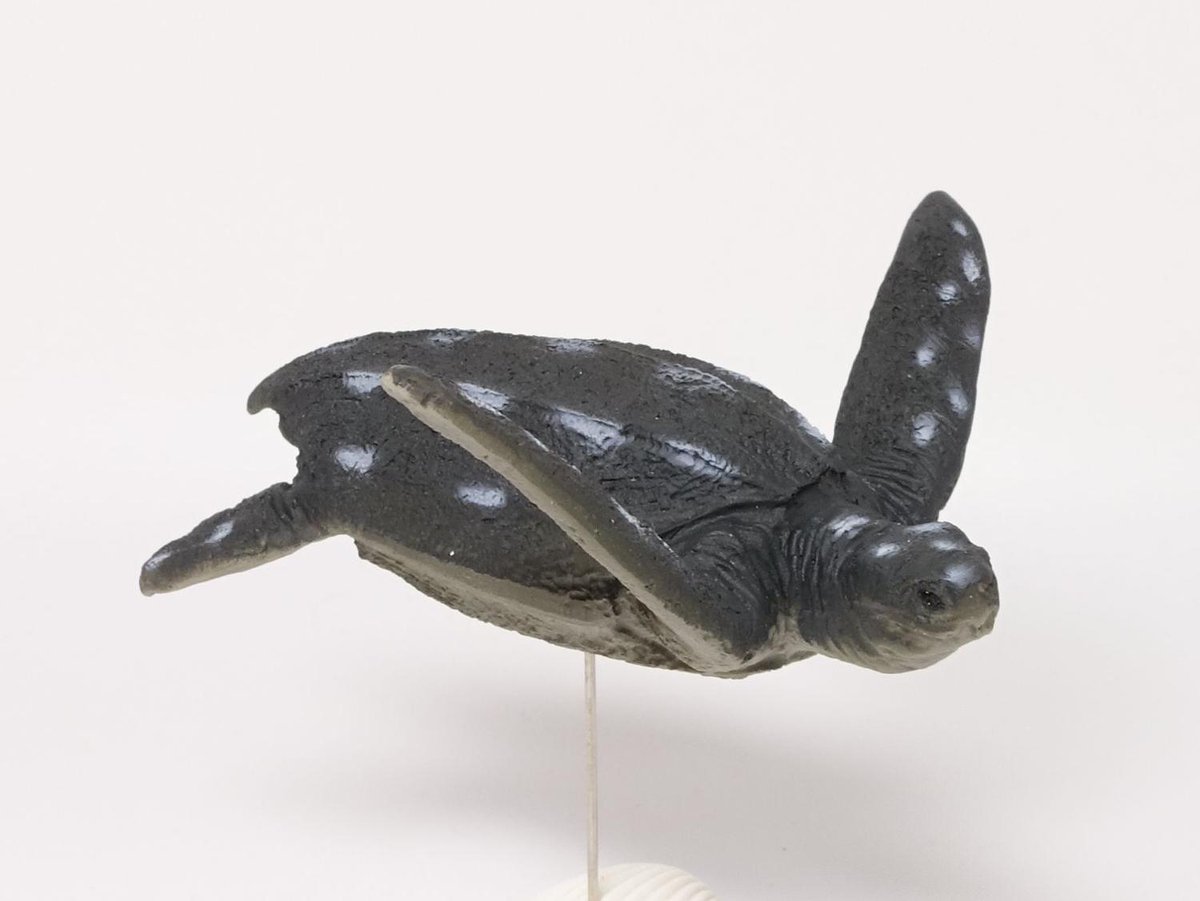 クサガメフィギュア 動物完成品 水辺の風景ジオラマ クサガメ