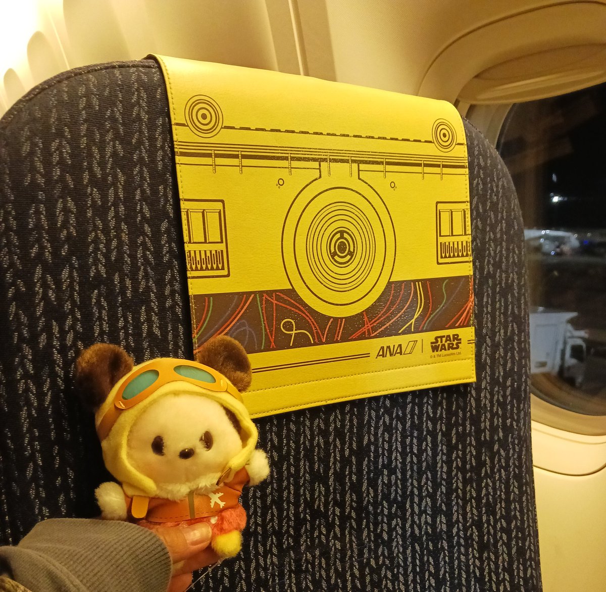 axahv_520's tweet photo. ありがとう元気で https://t.co/szyNVzL8zd