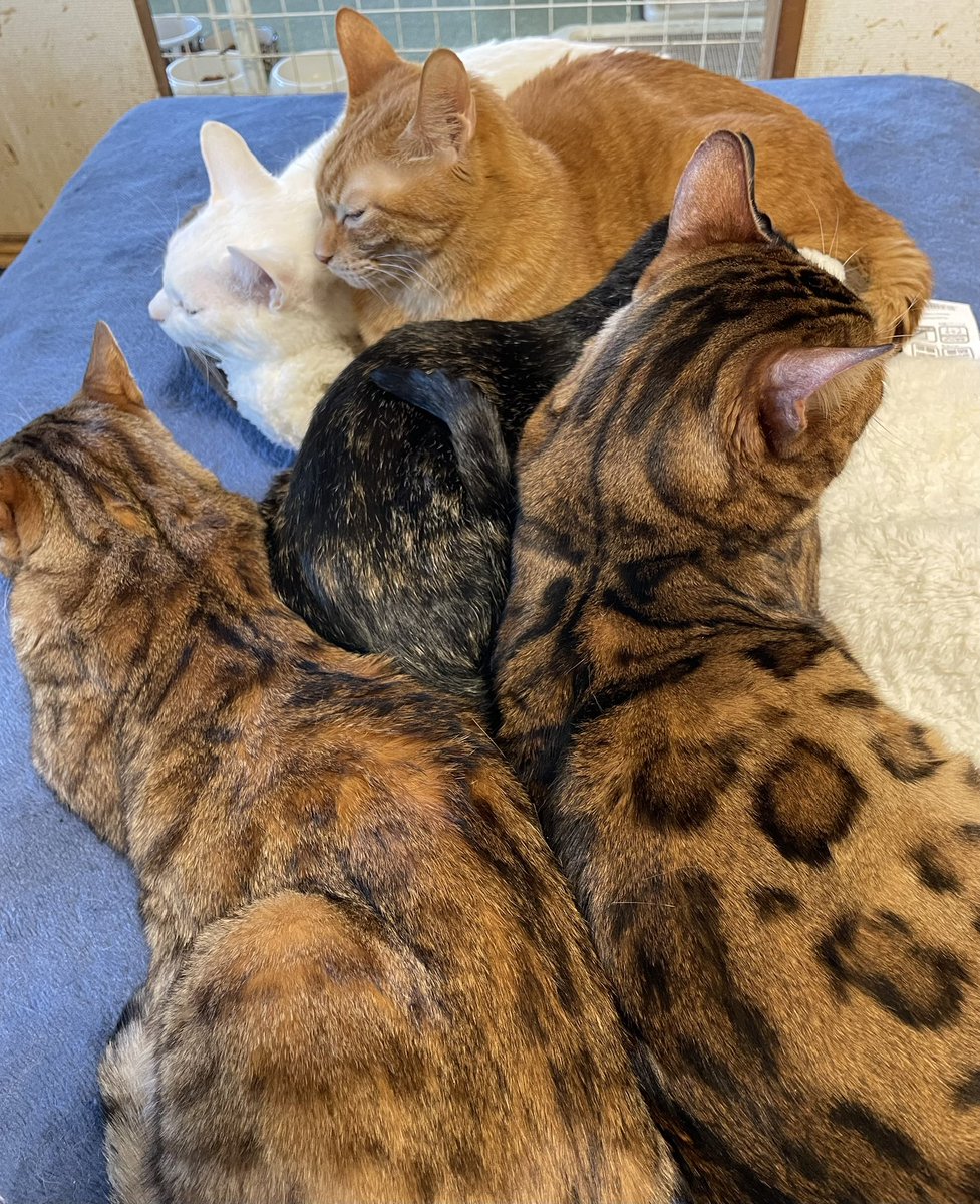 おはようございます😃