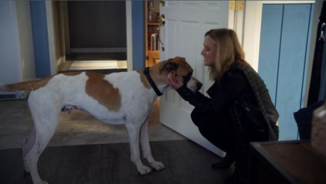 VMfans's tweet image. #tbt ❤️❤️ #VeronicaMars