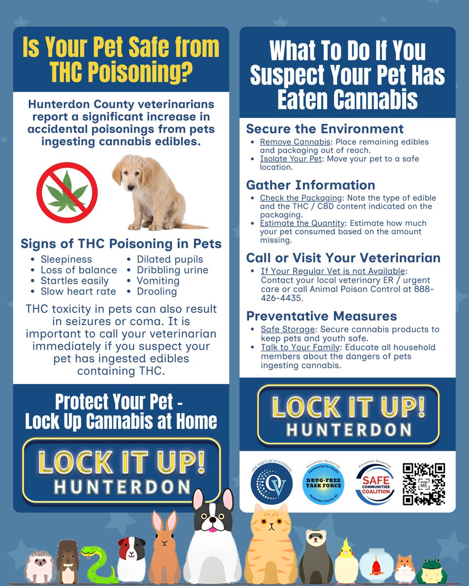 OneVoiceHC's tweet image. One Voice of Hunterdon gives a big shout-out to It’s A Miracle Dog Spa 🐾 for helping spread an important message about pet safety. 🐱🐶 We’re grateful for their partnership in encouraging our community to lock up THC and cannabis products, which can unintentionally harm pets.