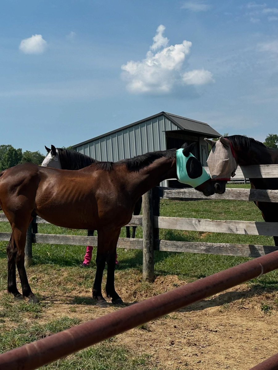 Leah Vasquez tweet media