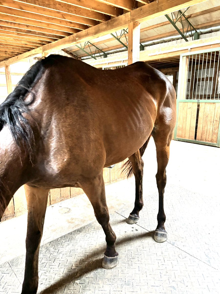 Leah Vasquez tweet media