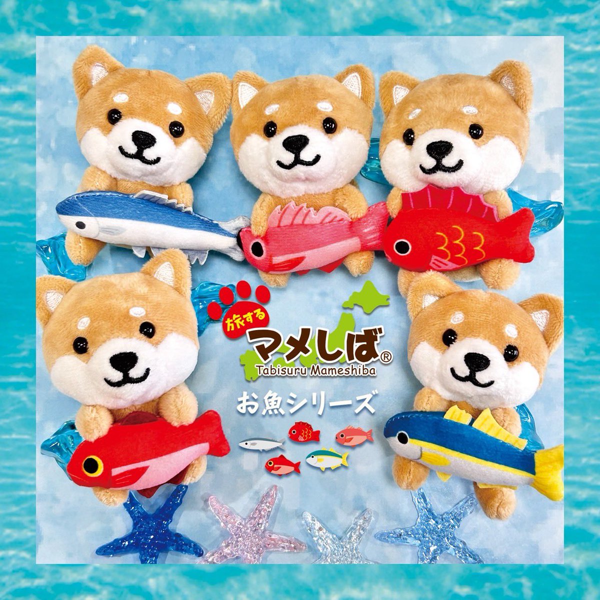 旅するマメしば (@tabi_mameshiba) / Posts / X