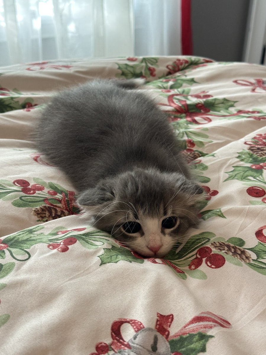 ImmCharIotte's tweet image. airplane baby