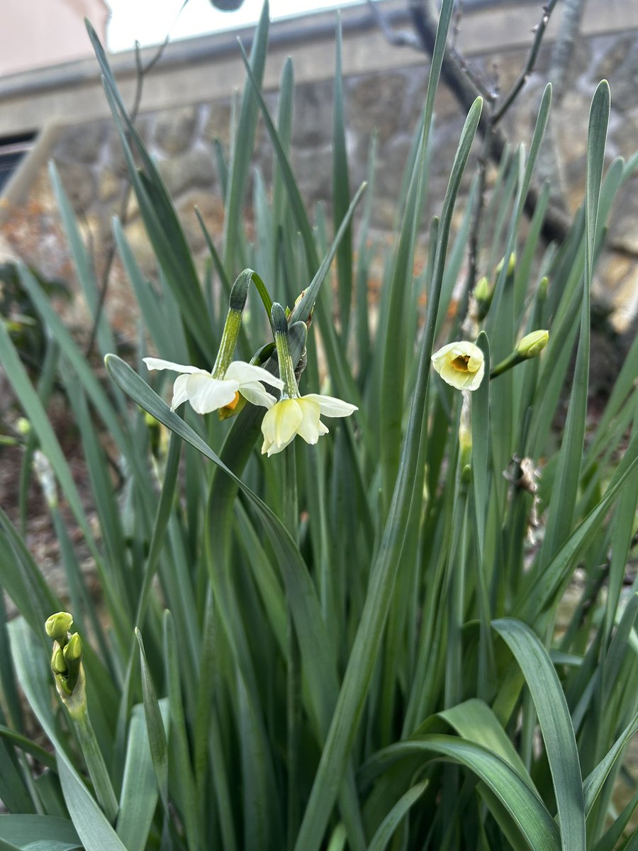 kuuwork's tweet image. 寒い日が続いてますね。