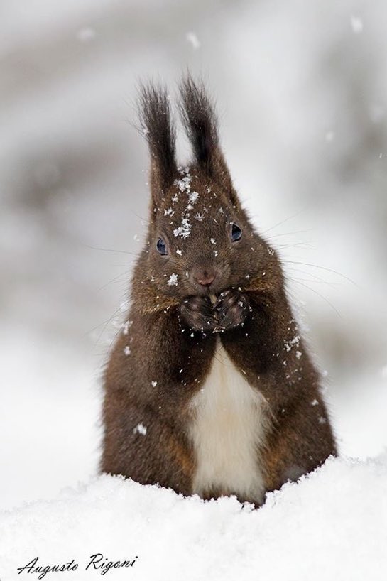 sqrlhongjoong's tweet image. #홍중