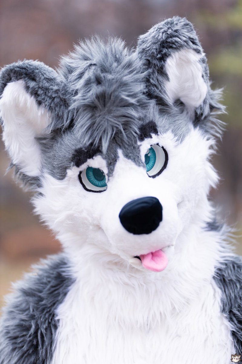 #Furry #Fursuit #FursuitFriday
왕밤코