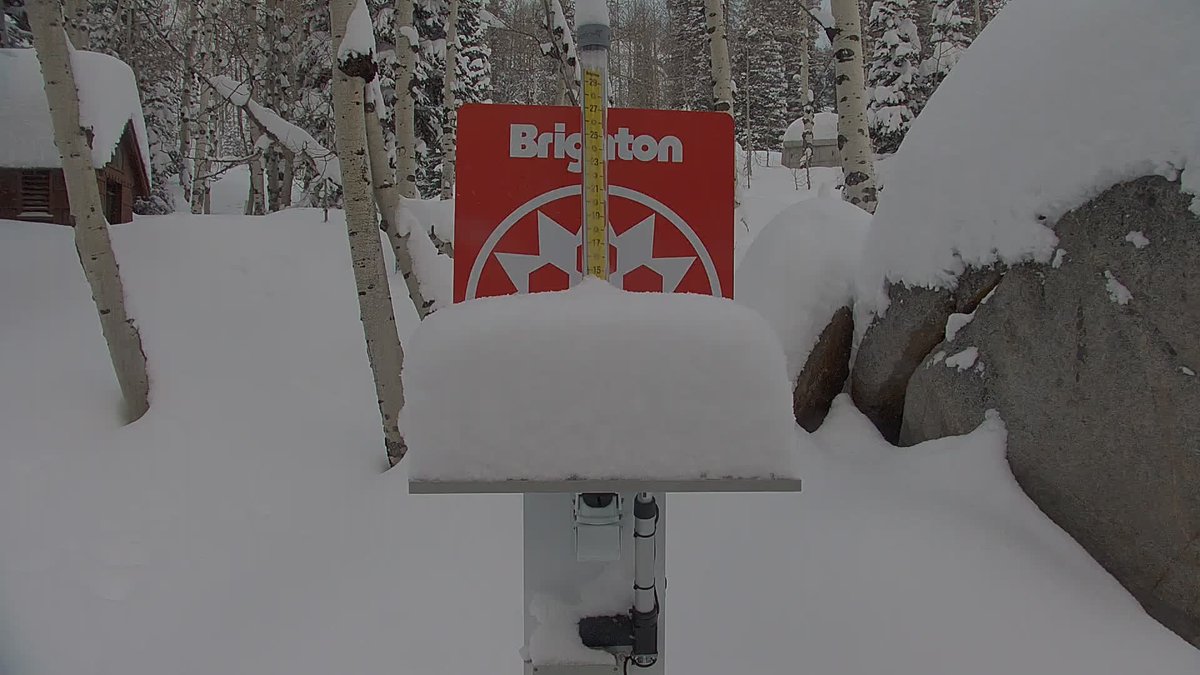 Utah Daily Snow tweet media