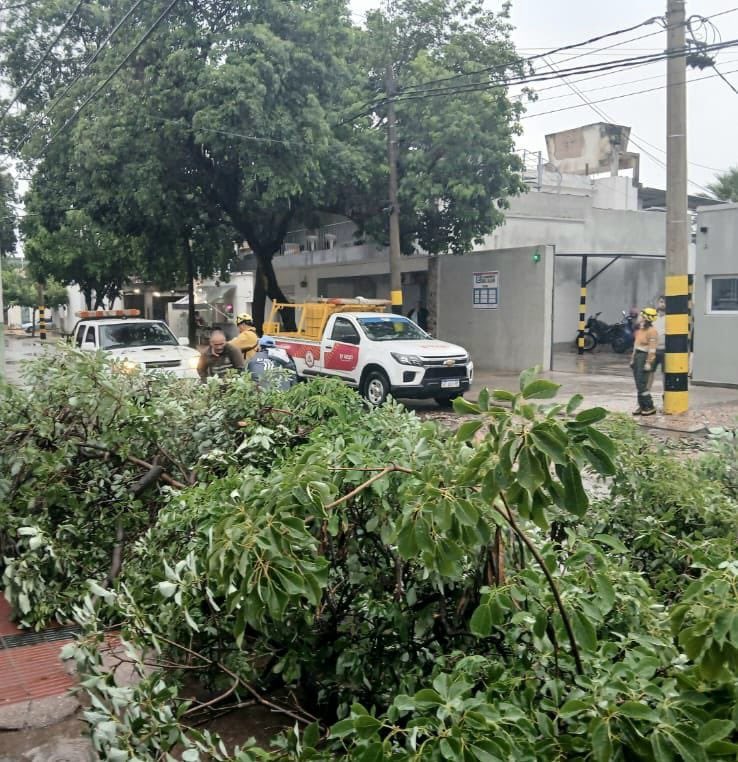 amolinalarioja's tweet photo. Estamos TRABAJANDO
Ante las lluvias y caídas de árboles, estamos RECUPERANDO la circulación vehicular y la SEGURIDAD en cada zona. https://t.co/aOGWy83Oe7