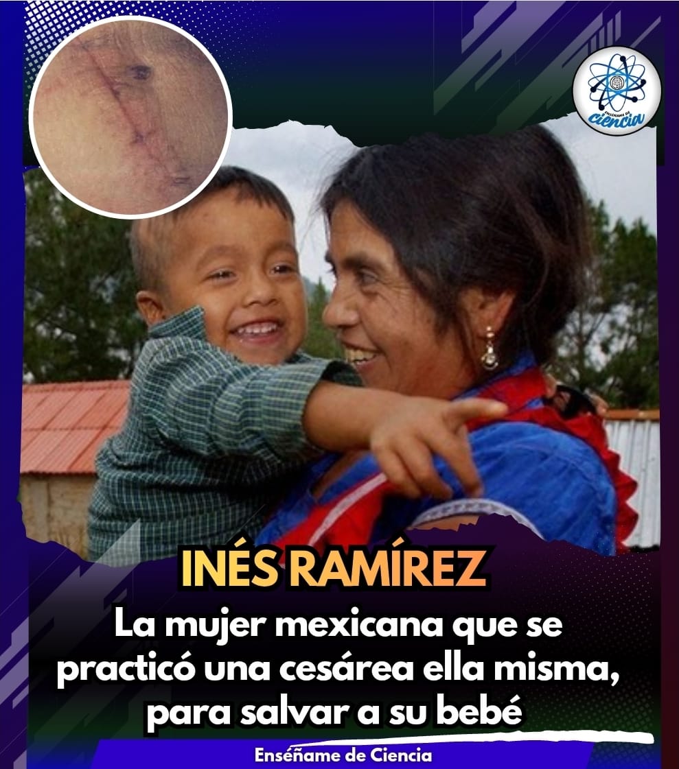 Enséñame de Ciencia tweet media