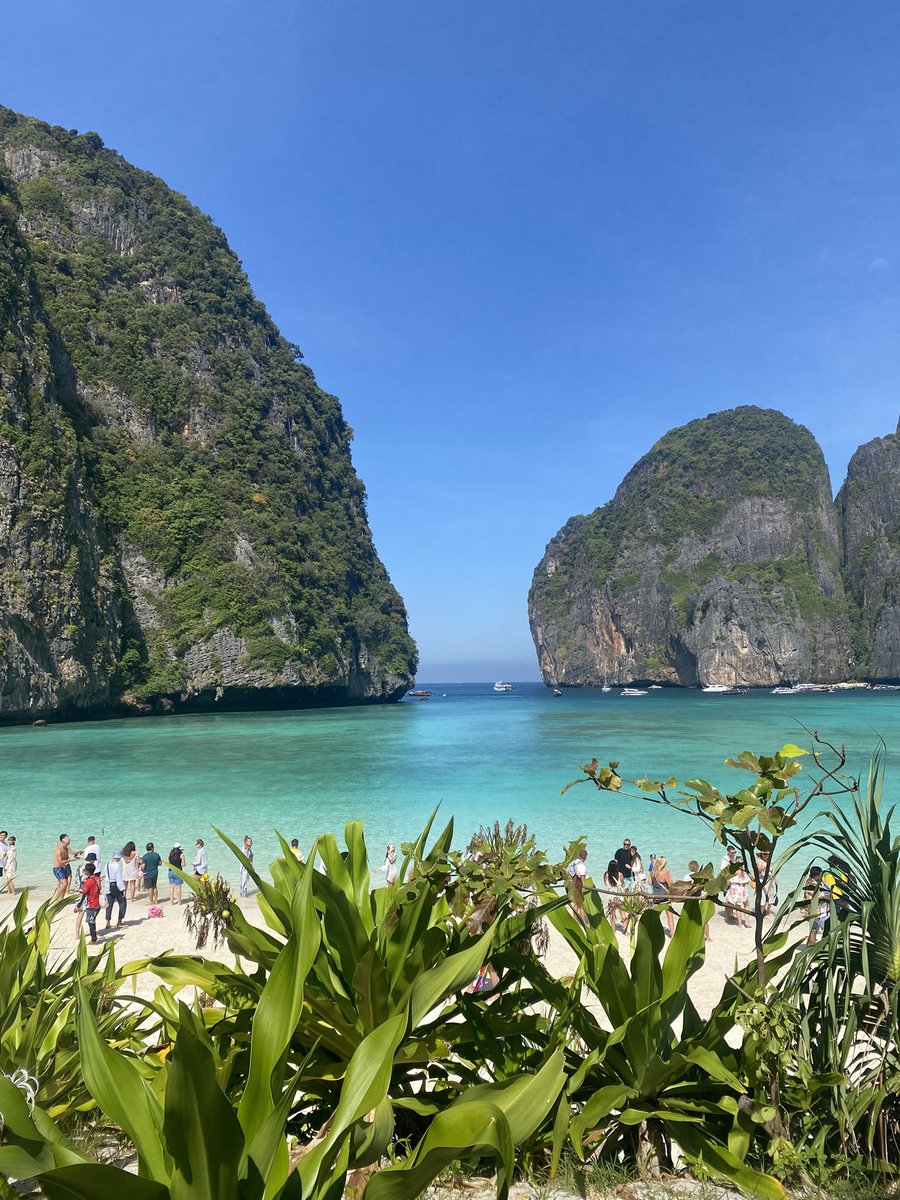 Al Djazirino tweet media