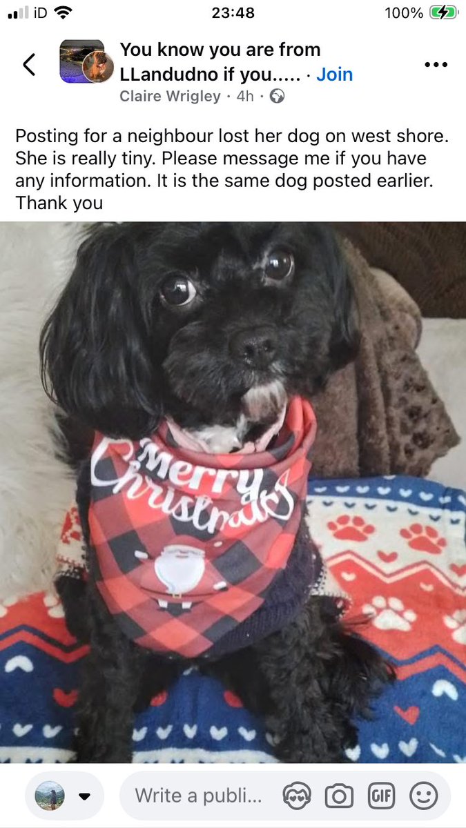 Please share - missing

facebook.com/share/p/1hBT24…