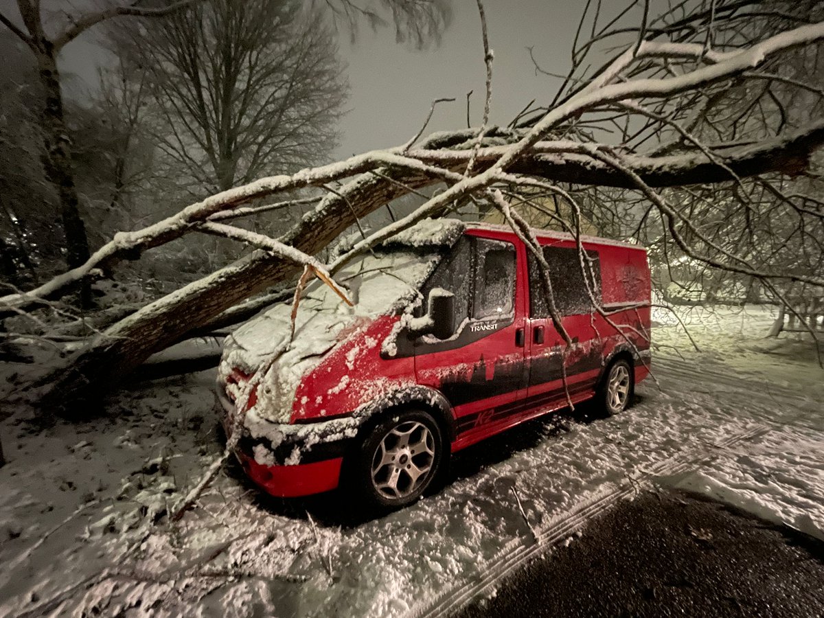 Liam Ball tweet media