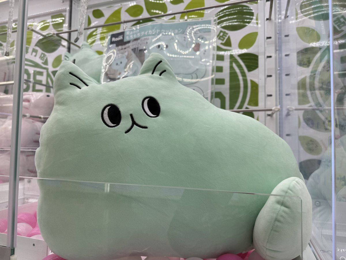 mint Raon もちもちダイカットクッション 猫 ぬいぐるみ 韓国発 未使用 mint Raon もちもちダイカットクッション ミント色 猫 - メルカリ