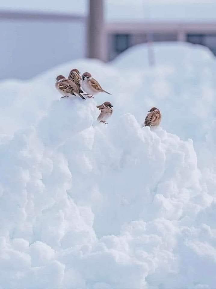 Шинэ өглөөний мэнд хүргэе 🥰

Сэтгэлдээ тунгаасныг хэл өгүүлэх тул хэлэх үгэндээ биш хичээх сэтгэлдээ анхаарлыг дадуулах нь зохимжтой🙏🏼

Өдөр бүр 21:00-22:00 ДЭЛХИЙ нийтийн алтан бясалгал залбиралын цаг дор нэгдээрэй 🙏