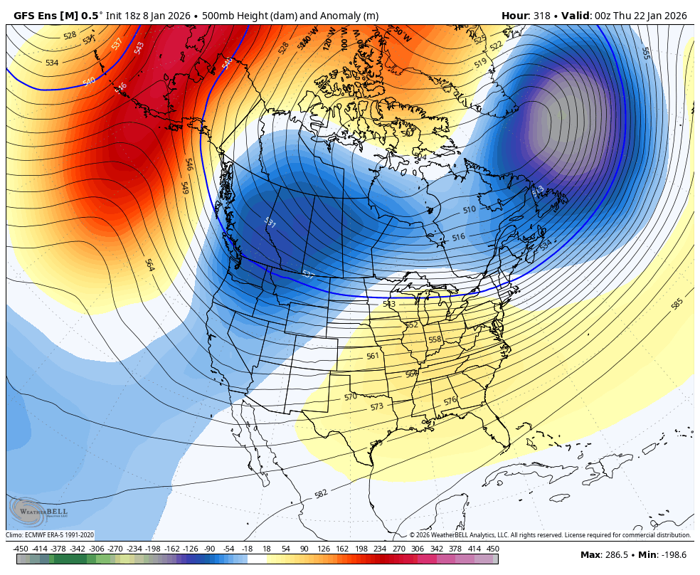 Vlad Raducu🇨🇦 tweet media