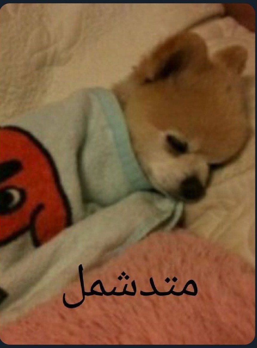 RehamAd99el's tweet photo. واخيرا الجمعه من غير صيدليه ولا فيديوهات https://t.co/iJUlMRebCS