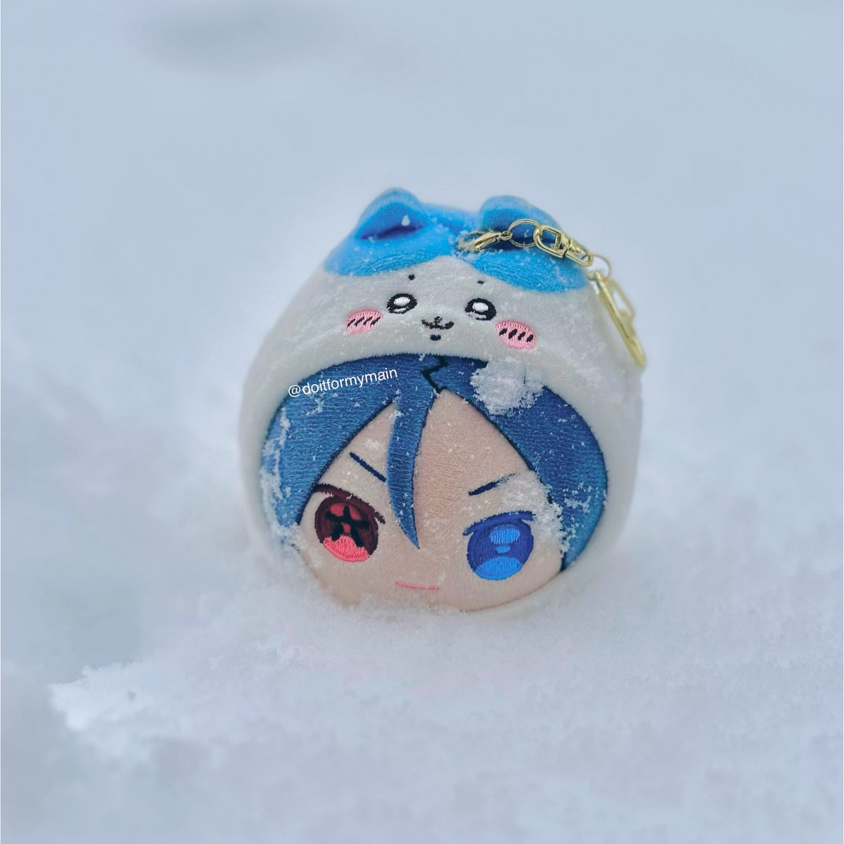 snow berry snow mushroom