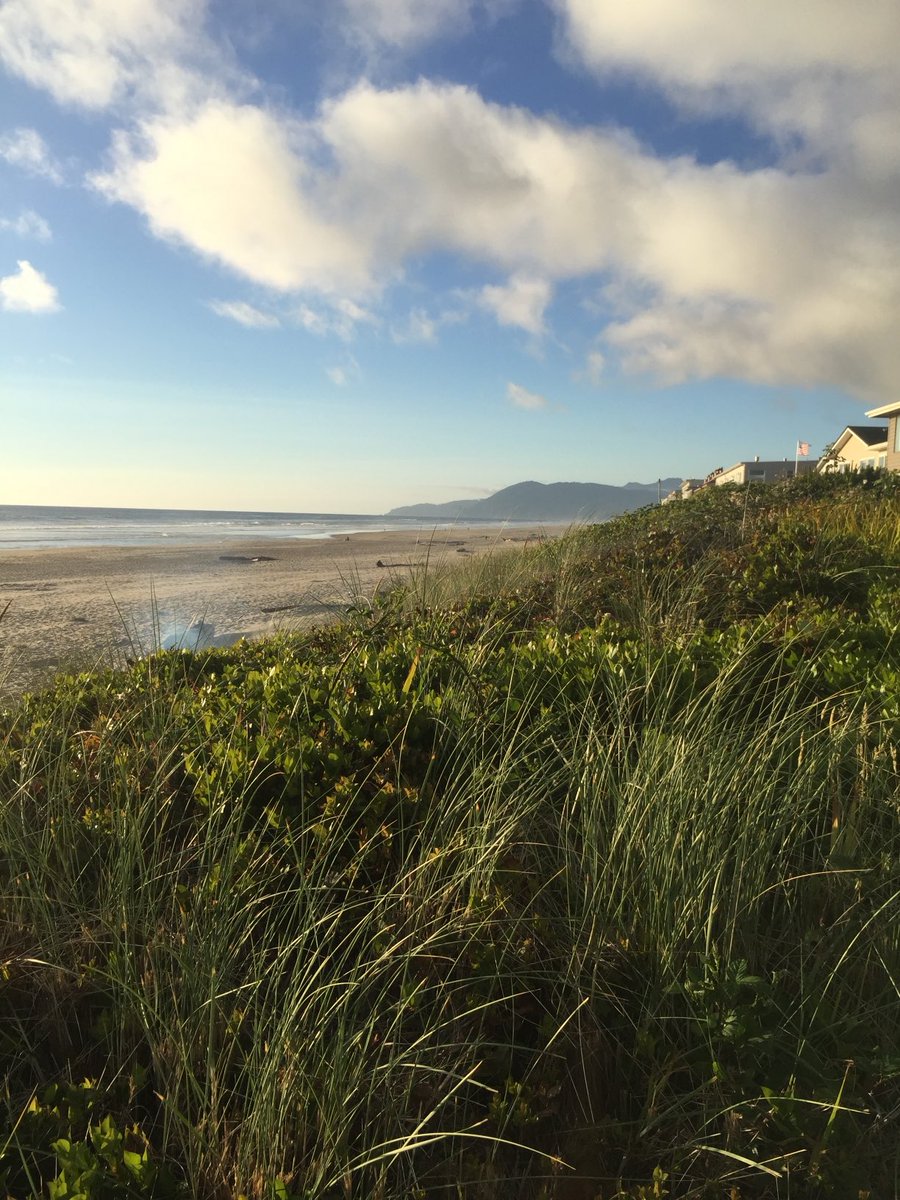 jbutson's tweet photo. Pacific City OR https://t.co/uEBH4cULuh