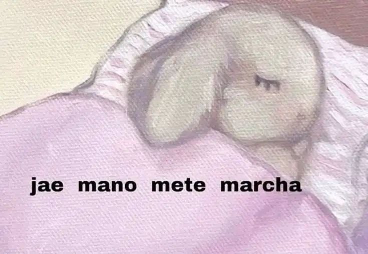 insuficientific's tweet image. “ai que naosei oq naonsei oq la miminimmiminimi “ ai ta tchau