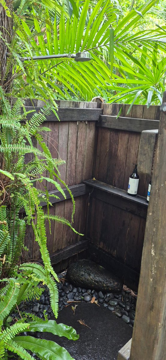 awedgewood's tweet image. Had a bit of company this morning in the shower.