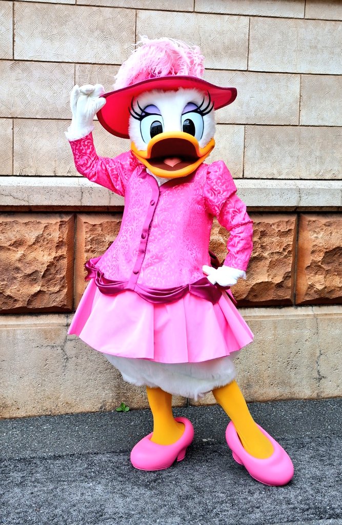 デイジー、スクリーンデビューの日とな🪿🎀