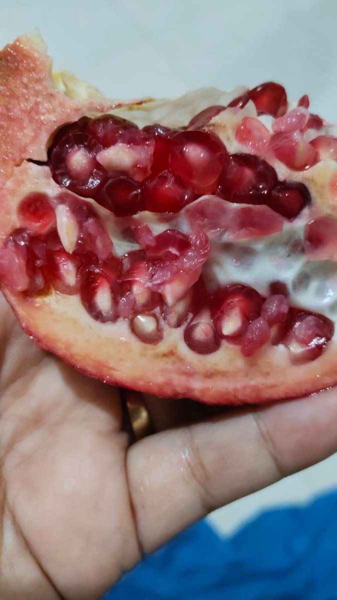 Buah apa ini?

Sekedar seru-seruan di Jumat berkah 🙏 
Bismillah 

5 akun per akun 50k di undi Sabtu sore 10 January 2026.

Syarat Follow, RTLK.