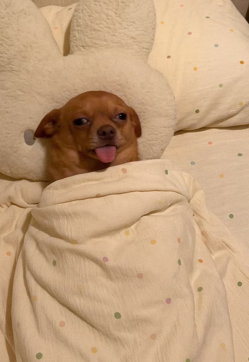 twaniimals's tweet image. 