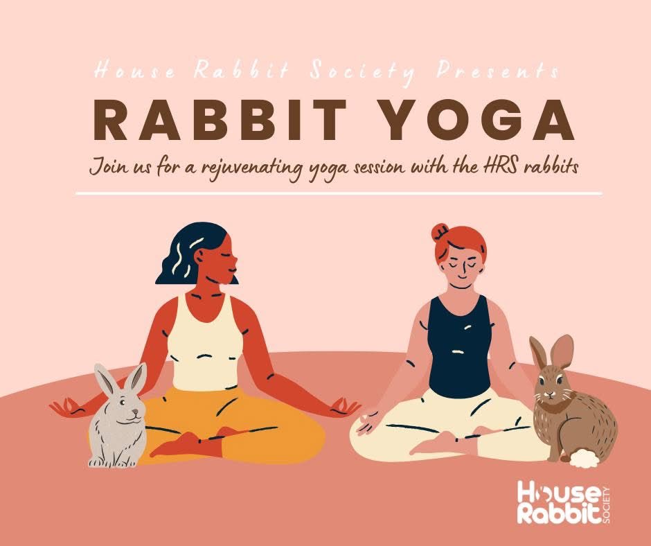 Our rabbit yoga has proven so popular, we've opened another session to accommodate more people! 🪷🐰

Join us for a 45-minute guided yoga session with quality time alongside our adorable rescue rabbits. 

Learn more and register: houserabbit.org/events/rabbit-…