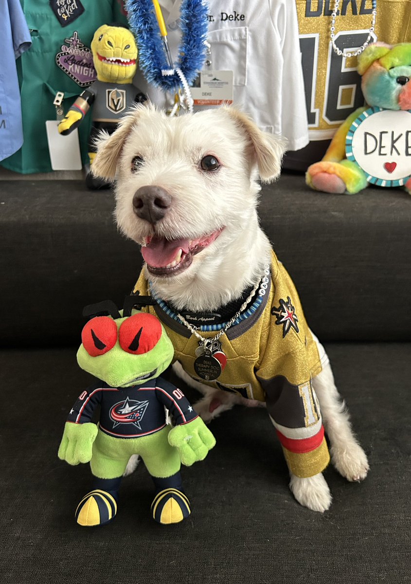 DekeHenriFurry's tweet photo. Iām ready for the hockey!
~ Dekeš¾
#GoKnightsGo
#VegasBornĀ Ā Ā Ā Ā Ā Ā Ā Ā Ā Ā Ā Ā Ā Ā Ā
#CBJvsVGK
#GameFace https://t.co/mtNnQBFJ91