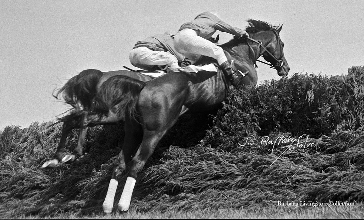 Barbara D. Livingston tweet media