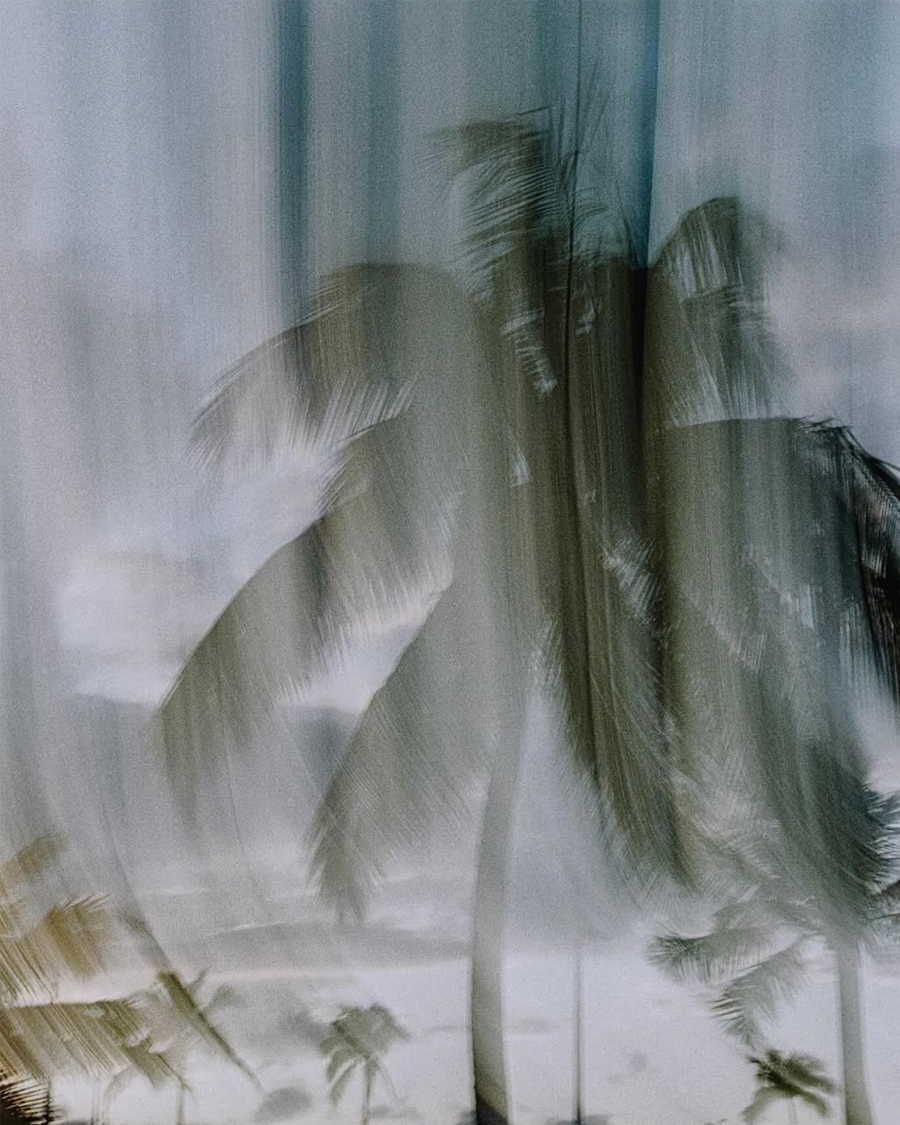 TIDEMRKT tweet media