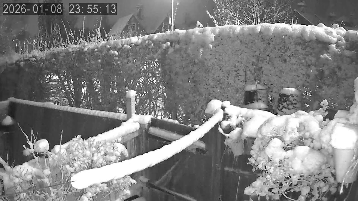 mart457's tweet image. Its easy to see how #snow brings down #powercable This is just a 8mm #washingline with 95mm of #snow stuck to it